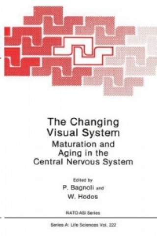 Carte Changing Visual System P. Bagnoli