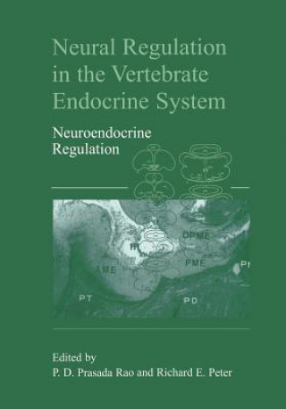 Könyv Neural Regulation in the Vertebrate Endocrine System Dodla Sai Prasada Rao