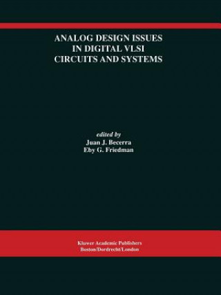 Könyv Analog Design Issues in Digital VLSI Circuits and Systems Juan J. Becerra