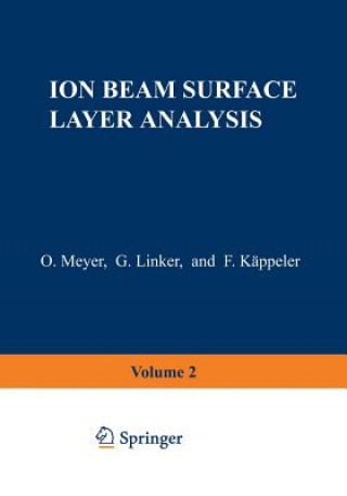 Könyv Ion Beam Surface Layer Analysis Otto Meyer