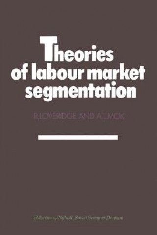 Kniha Theories of labour market segmentation Ray Loveridge