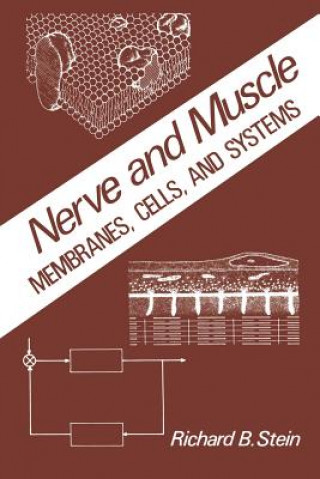 Book Nerve and Muscle R. Stein