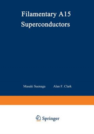 Könyv Filamentary A15 Superconductors Masaki Suenaga