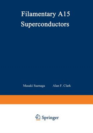 Książka Filamentary A15 Superconductors Masaki Suenaga