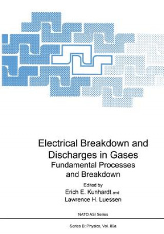 Libro Electrical Breakdown and Discharges in Gases 