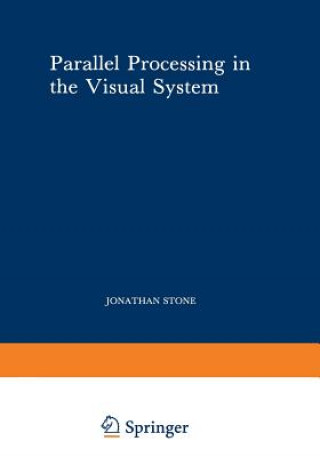 Kniha Parallel Processing in the Visual System Jonathan Stone