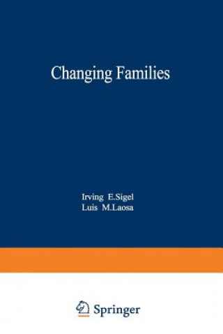 Kniha Changing Families Irving E. Sigel