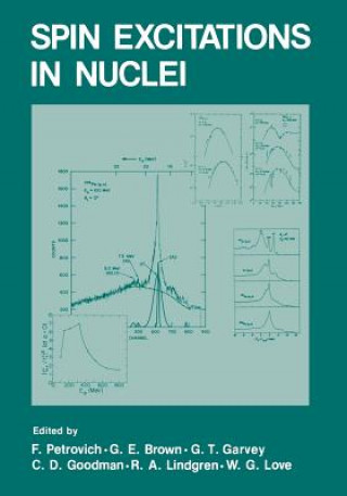 Könyv Spin Excitations in Nuclei Fred Petrovich