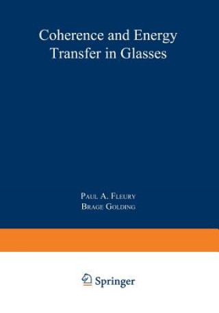 Könyv Coherence and Energy Transfer in Glasses Brage Golding