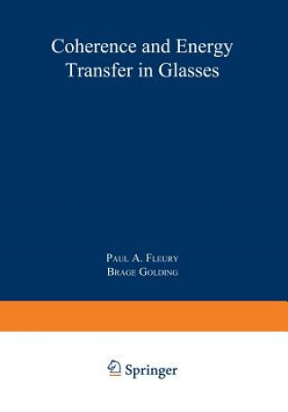 Kniha Coherence and Energy Transfer in Glasses Brage Golding