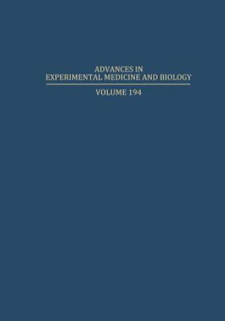 Könyv Myocardial and Skeletal Muscle Bioenergetics Nachman Brautbar