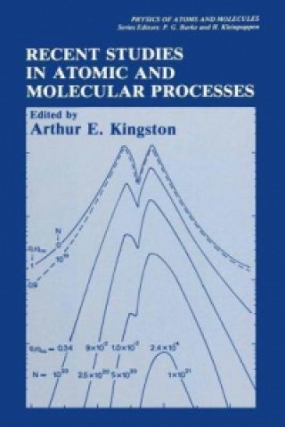 Buch Recent Studies in Atomic and Molecular Processes Arthur E. Kingston