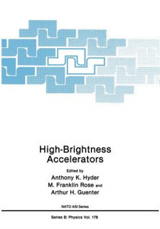 Könyv High-Brightness Accelerators Anthony D. Hyder