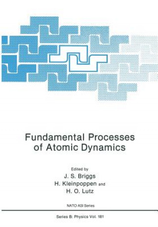 Книга Fundamental Processes of Atomic Dynamics J.S.S. Briggs