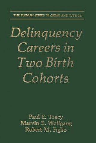 Książka Delinquency Careers in Two Birth Cohorts Paul E. Tracy