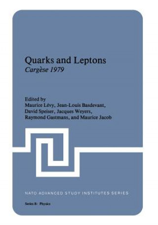 Книга Quarks and Leptons Maurice Lévy