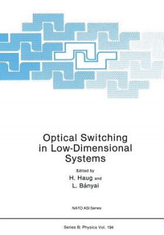 Kniha Optical Switching in Low-Dimensional Systems Hartmut Haug