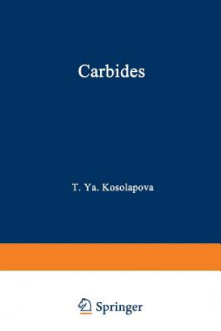 Carte Carbides T. Y. Kosolapova