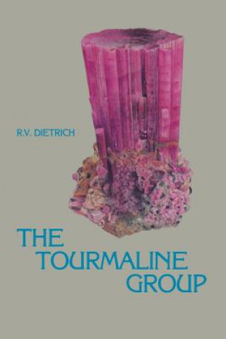 Kniha Tourmaline Group Richard Dietrich