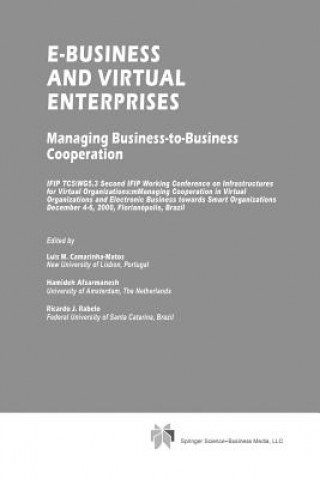 Kniha E-Business and Virtual Enterprises Luis M. Camarinha-Matos