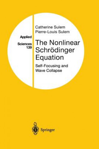 Kniha Nonlinear Schroedinger Equation Catherine Sulem