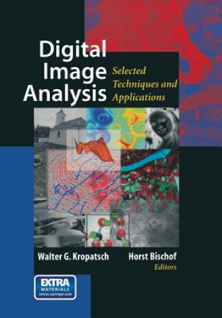 Kniha Digital Image Analysis Walter Kropatsch