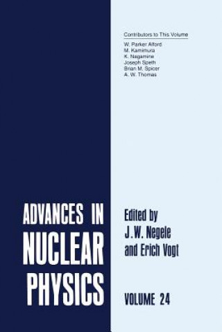 Book Advances in Nuclear Physics J.W. Negele