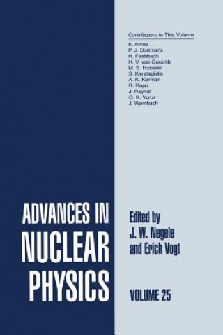 Könyv Advances in Nuclear Physics J.W. Negele