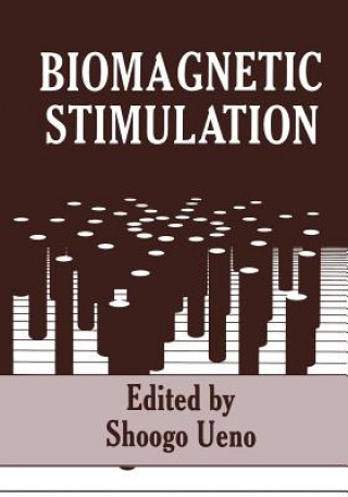Kniha Biomagnetic Stimulation S. Ueno
