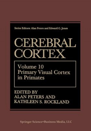 Könyv Cerebral Cortex Alan Peters