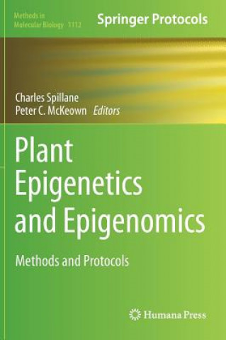 Könyv Plant Epigenetics and Epigenomics Charles M. Spillane