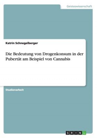 Książka Die Bedeutung von Drogenkonsum in der Pubertat am Beispiel von Cannabis Katrin Schnegelberger