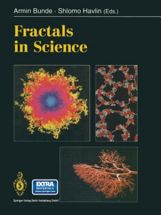 Könyv Fractals in Science Armin Bunde