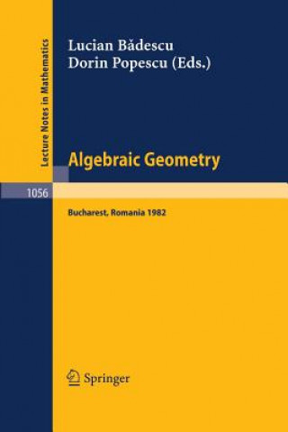 Libro Algebraic Geometry L. Badescu