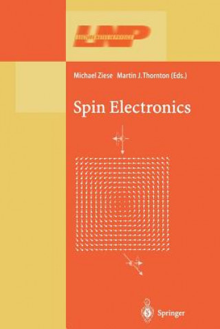 Carte Spin Electronics Michael Ziese