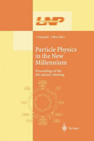 Kniha Particle Physics in the New Millennium Josip Trampetic