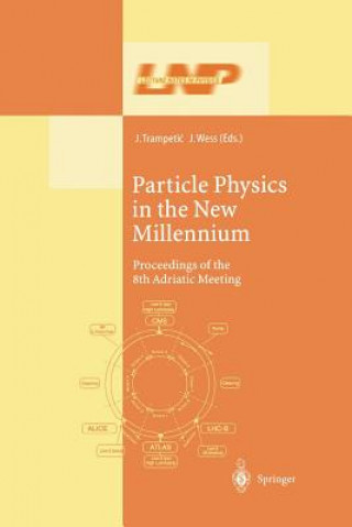 Livre Particle Physics in the New Millennium Josip Trampetic