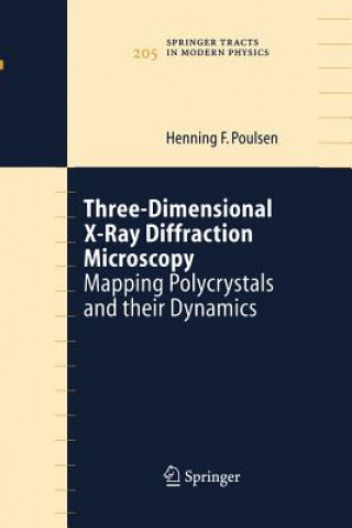 Kniha Three-Dimensional X-Ray Diffraction Microscopy Henning Friis Poulsen