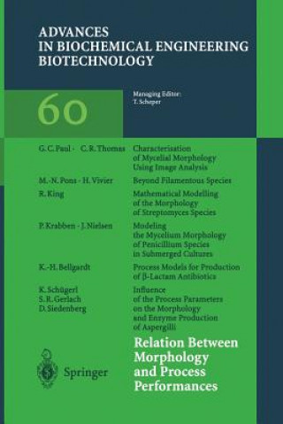 Kniha Relation Between Morphology and Process Performances Karl Schügerl