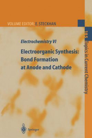Carte Electrochemistry VI E. Steckhan