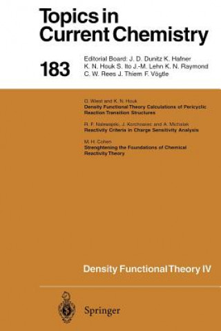 Könyv Density Functional Theory IV R.F. Nalewajski