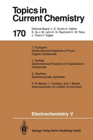 Książka Electrochemistry V Eberhard Steckhan