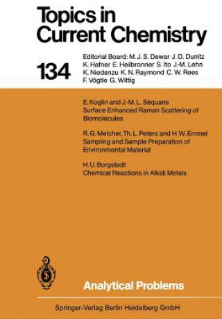 Knjiga Analytical Problems Hans Ulrich Borgstedt