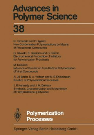 Knjiga Polymerization Processes Al Al Berlin