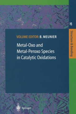 Kniha Metal-Oxo and Metal-Peroxo Species in Catalytic Oxidations B. Meunier