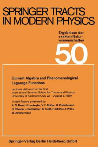 Libro Current Algebra and Phenomenological Lagrange Functions 