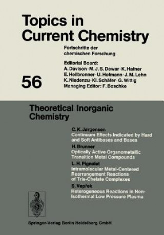 Kniha Theoretical Inorganic Chemistry 