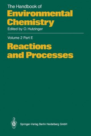 Книга Reactions and Processes Joop Hermens