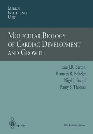 Книга Molecular Biology of Cardiac Development and Growth Paul J.R. Barton