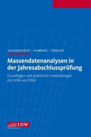 Livre Massendatenanalysen in der Jahresabschlussprüfung Michael Goldshteyn